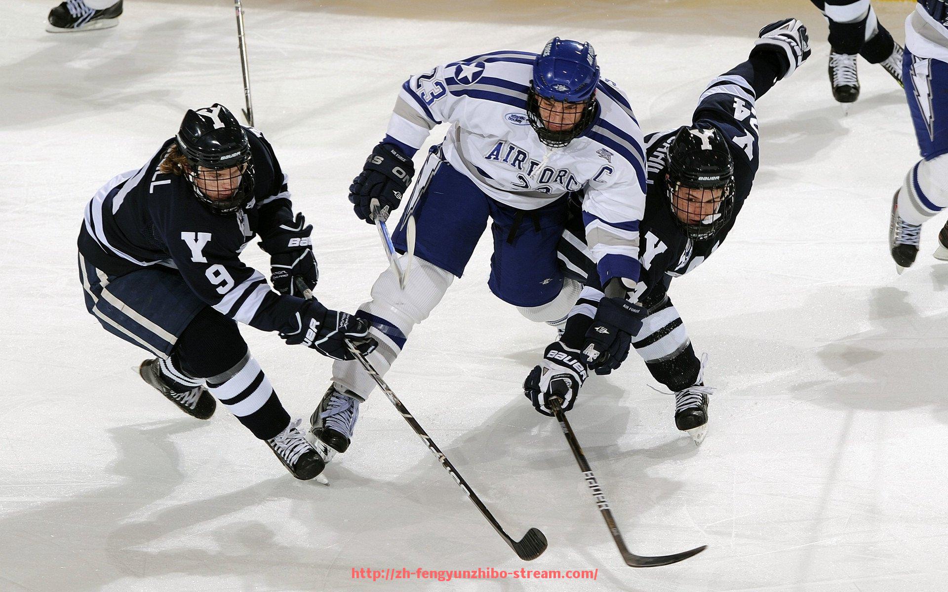 风云直播-山东体育西甲直播频道及赛事特色介绍